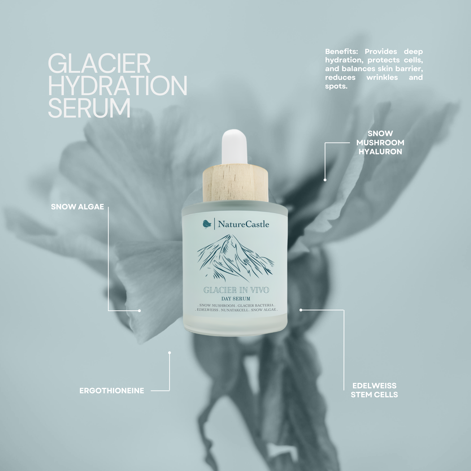 Glacier Hydration Serum Key Ingredients-1