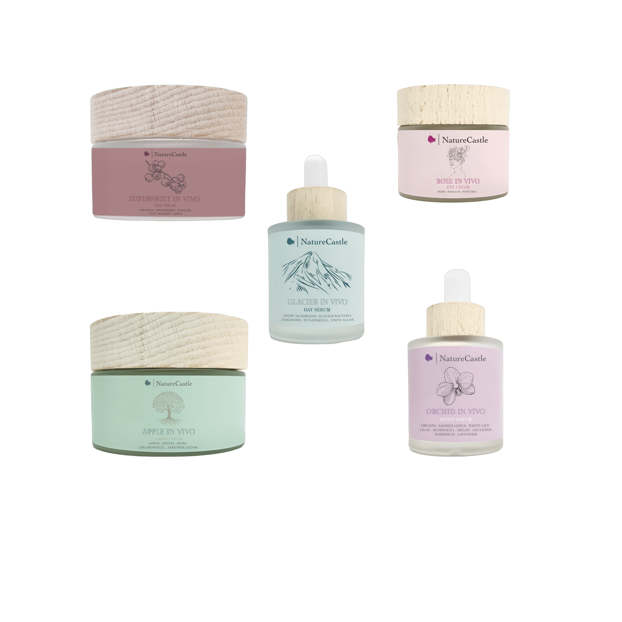 In Vivo Set Stem Cell Set