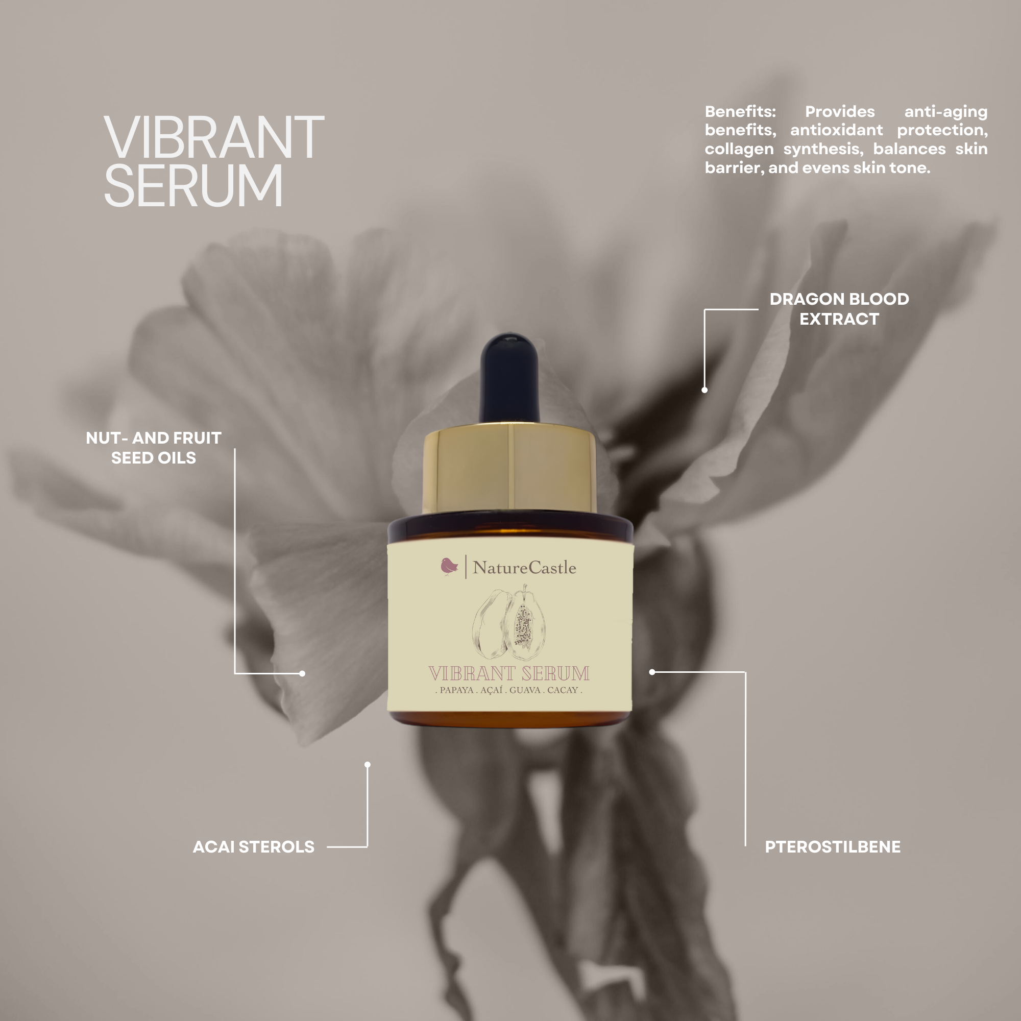 Vibrant Serum Key Ingredients-1