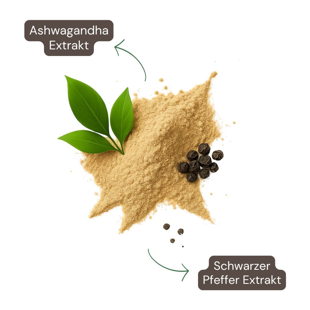 Ashwagandha Kapseln-1